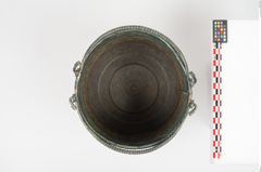Foto von Bronzerippenciste (NHMW-PRAE-025983)